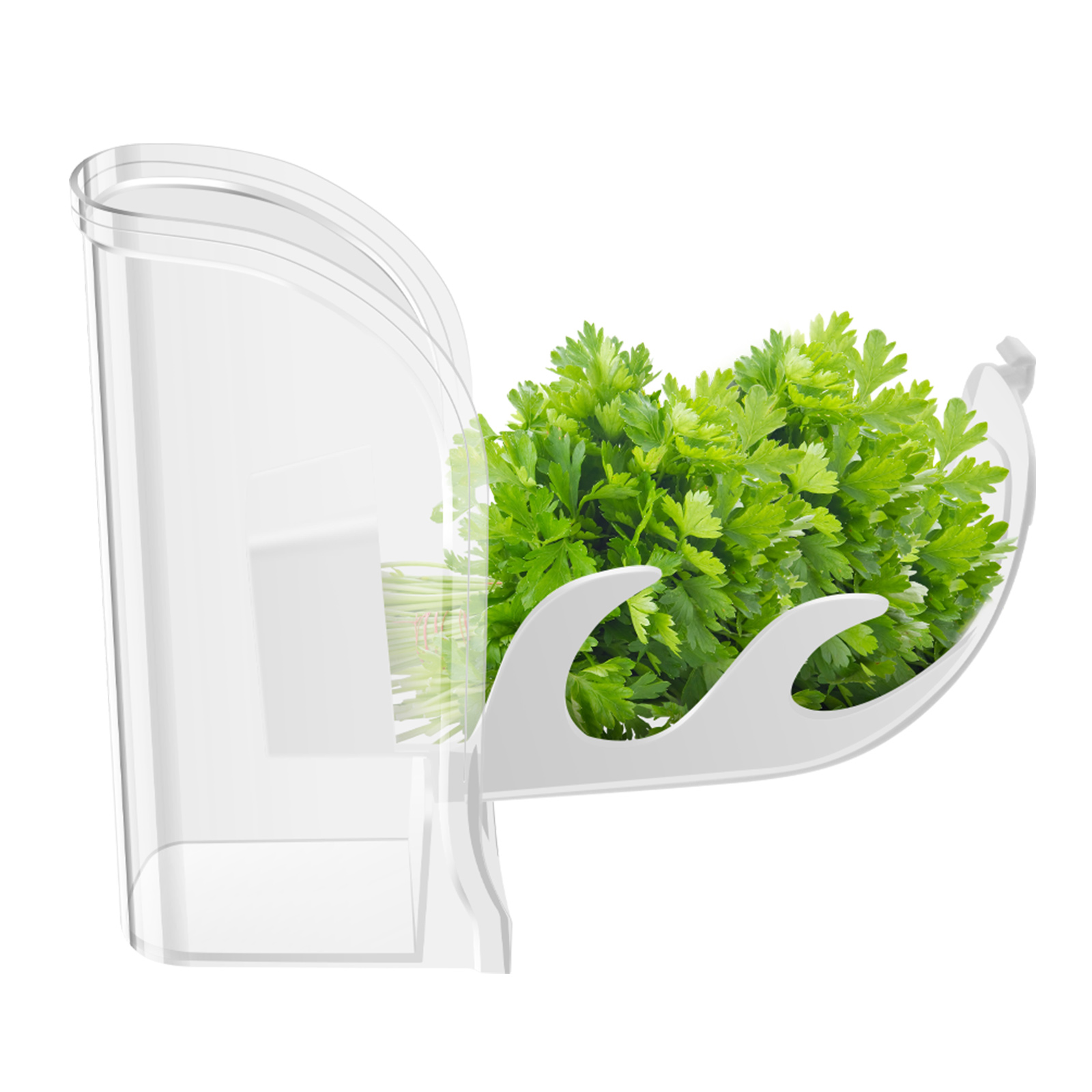 Recipiente protetor de ervas m - Kitchen Gadgets Modern avaliação e preço