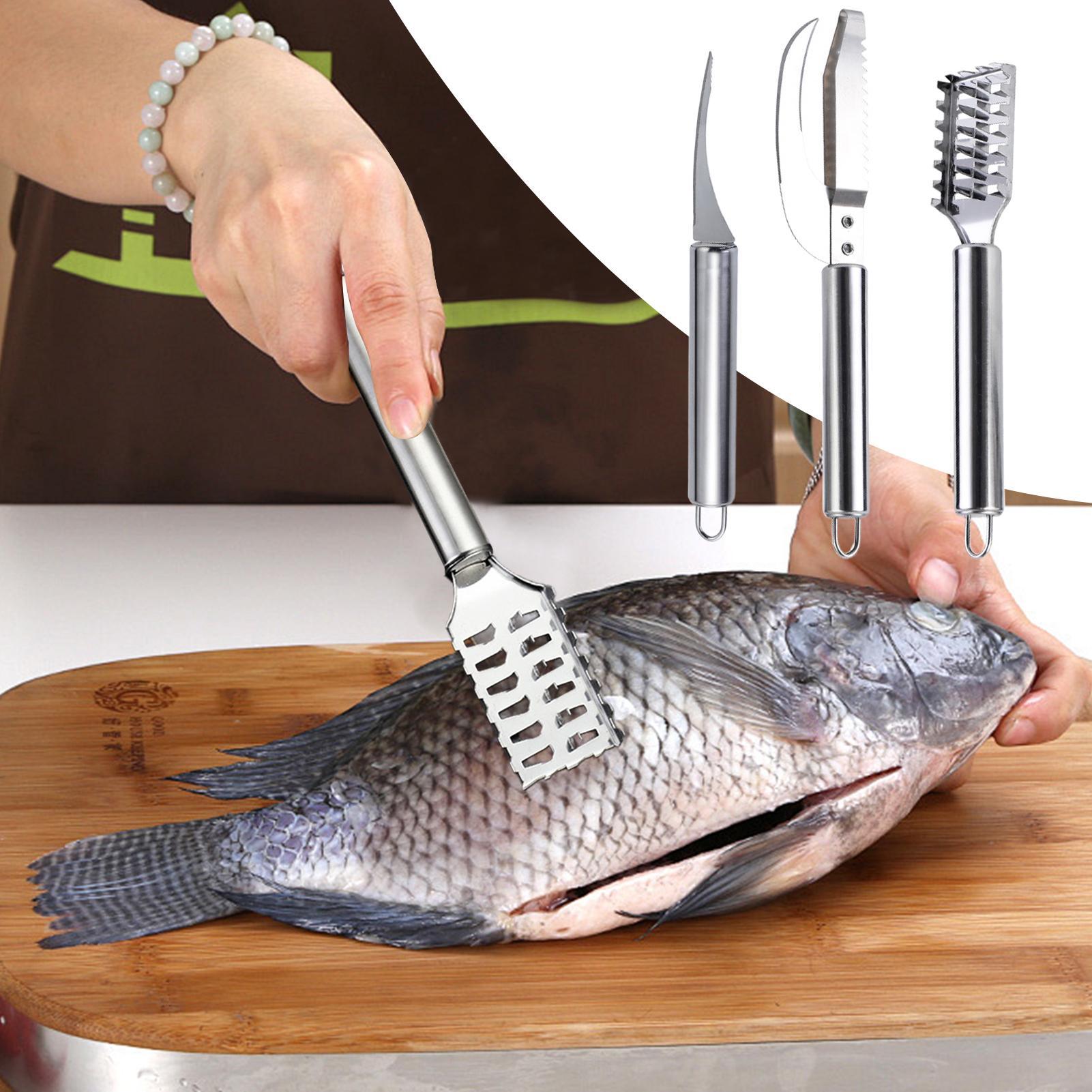 Removedor de Escamas de Peixe, - Kitchen Gadgets Everyone Needs avaliação e preço