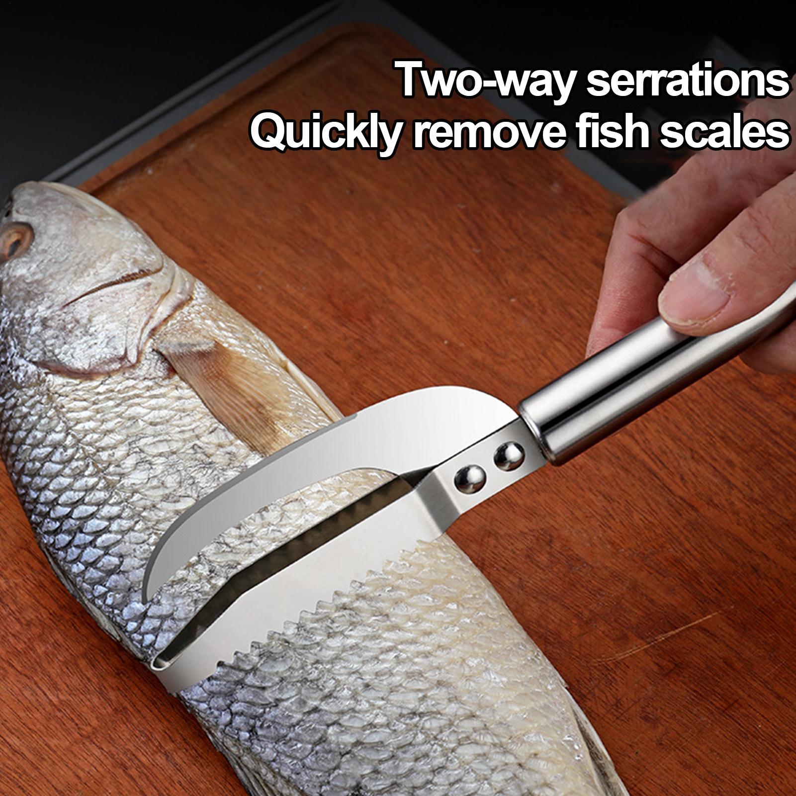 Removedor de Escamas de Peixe, - Kitchen Gadgets Everyone Needs avaliação e preço